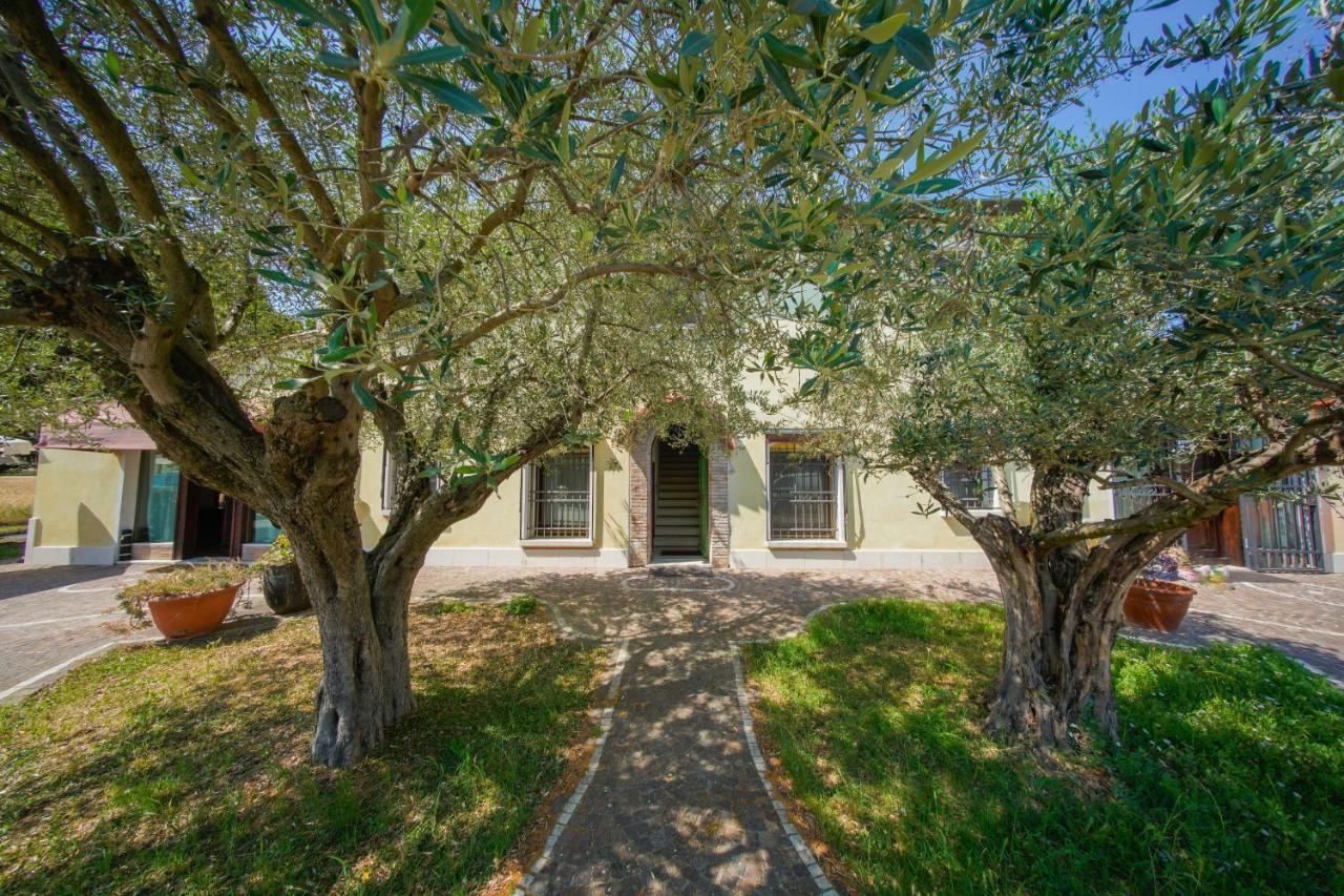 Chez Barnie Favoloso Appartamento Privato In Villa A 800Mt Ingresso Fiera Rimini Exterior foto